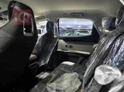 جيتور داشينج